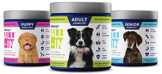 PR16 - Vetericyn ALL-IN Dog Supplement .png